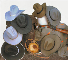 frontpageimagesmall
